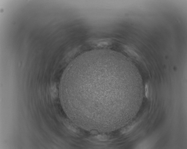 X0000062931395200601202015