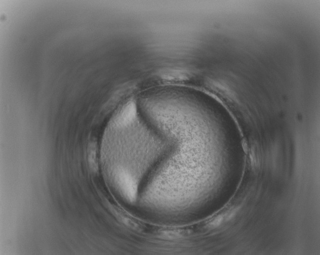 X0000062931396200601202015