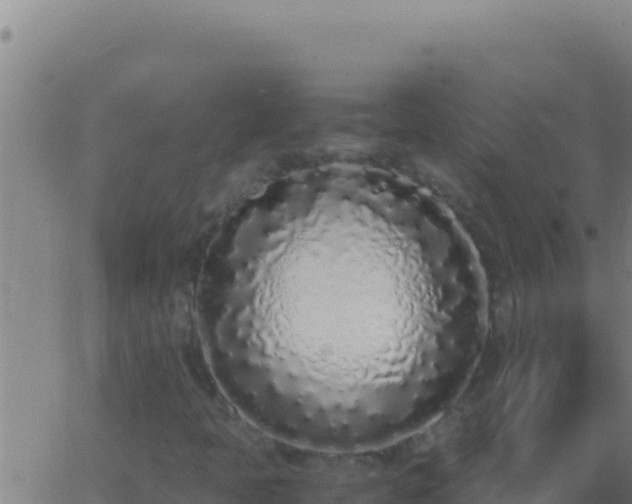 X0000062931397200601202015