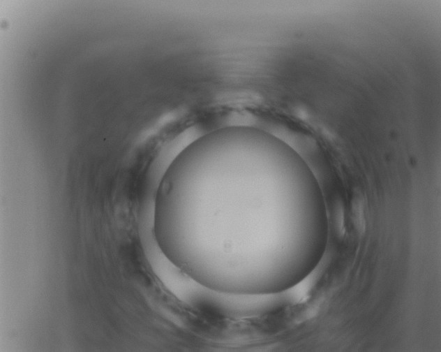 X0000062931398200601202015