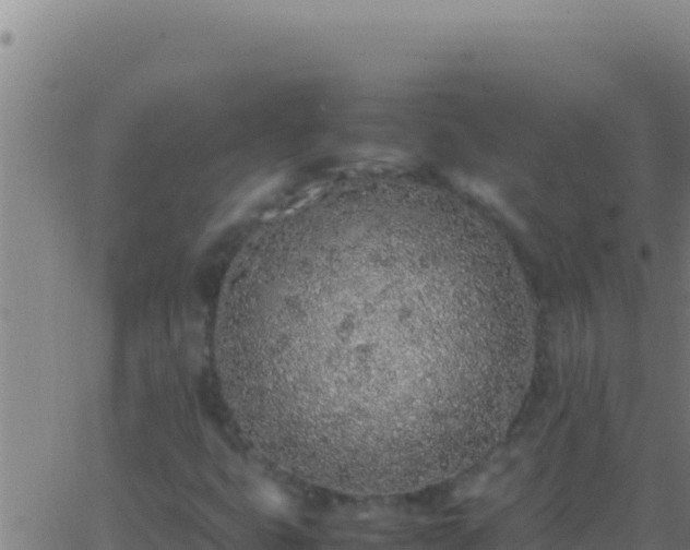 X0000062931399200601202015