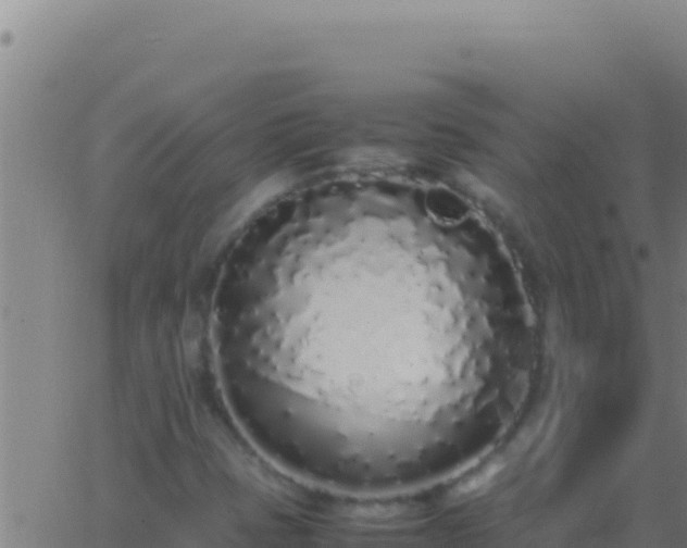 X0000062931401200601202015