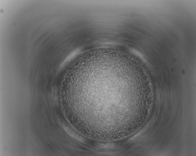 X0000062931403200601202015