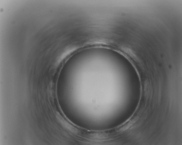 X0000062931404200601202015