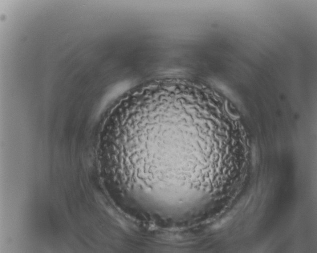 X0000062931405200601202015