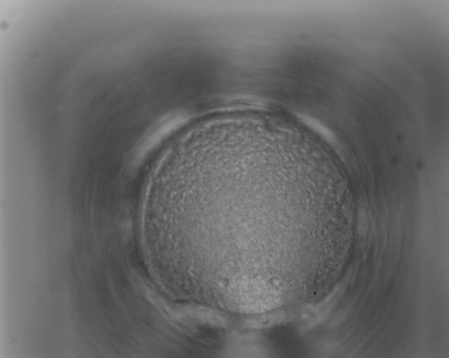 X0000062931407200601202015