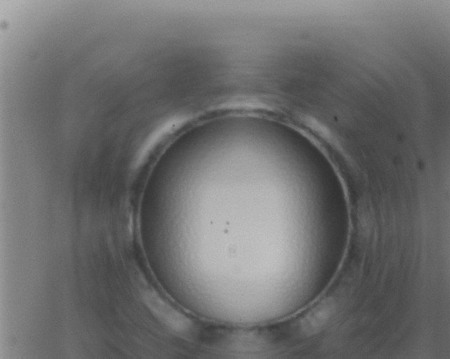 X0000062931408200601202015