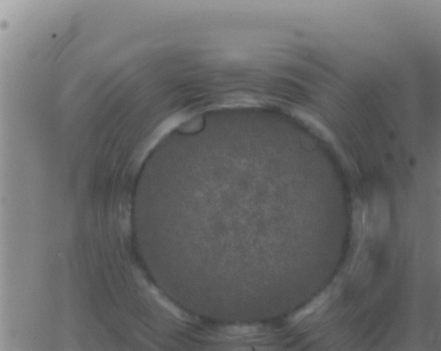 X0000062931409200601202015