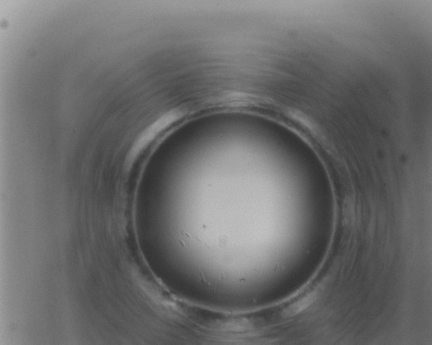 X0000062931410200601202015