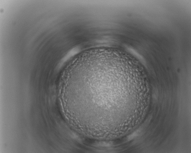 X0000062931411200601202015