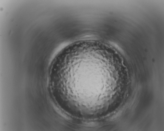 X0000062931413200601202015