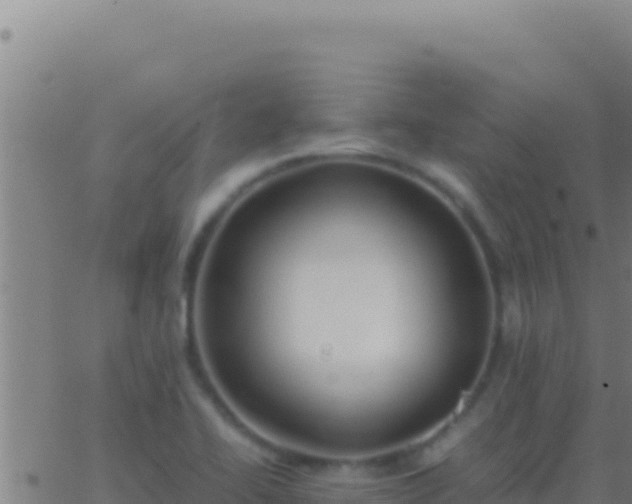 X0000062931414200601202015