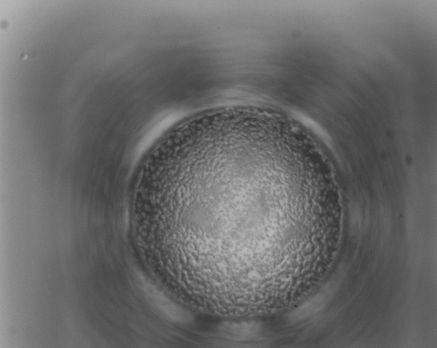 X0000062931415200601202015