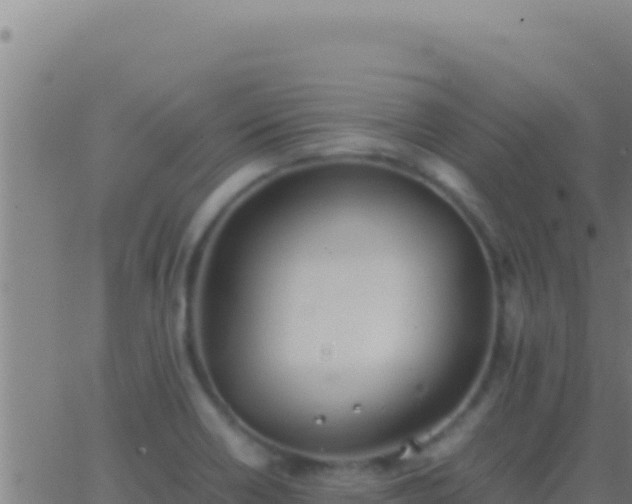 X0000062931418200601202015