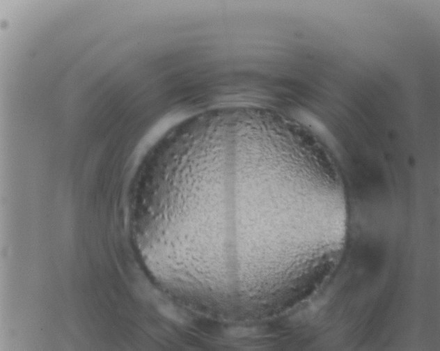 X0000062931419200601202015