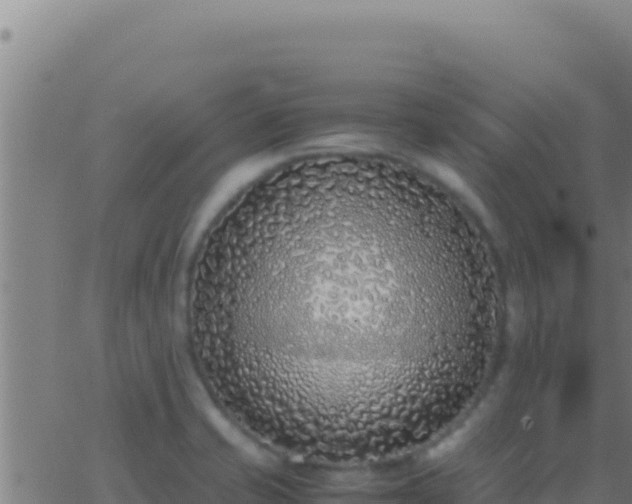 X0000062931421200601202015