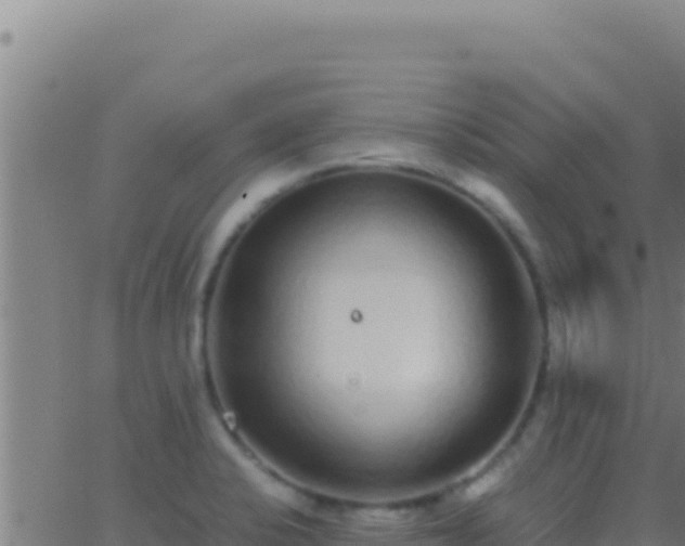 X0000062931424200601202015