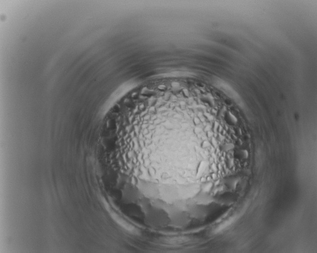 X0000062931425200601202015