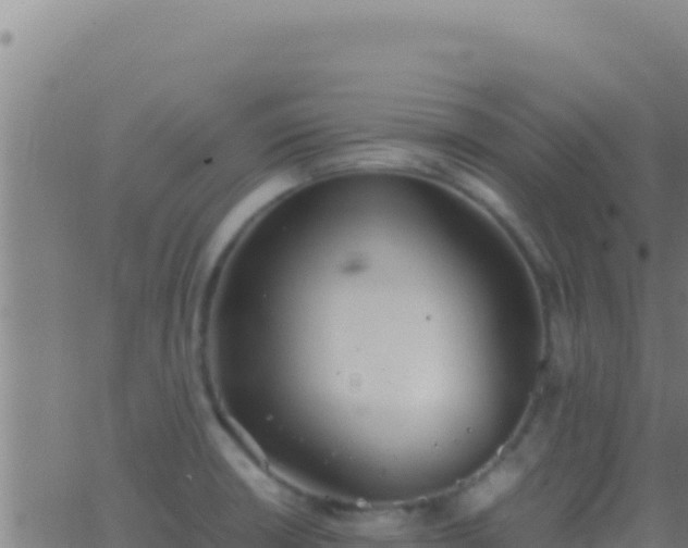 X0000062931426200601202015