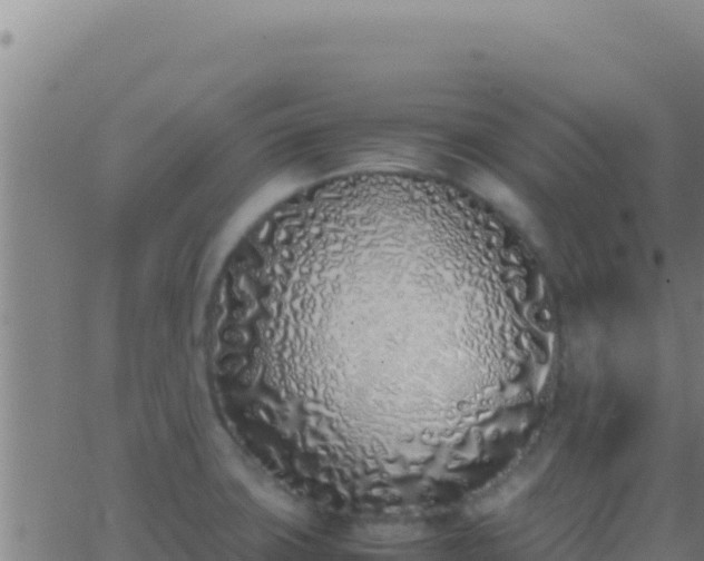 X0000062931427200601202015