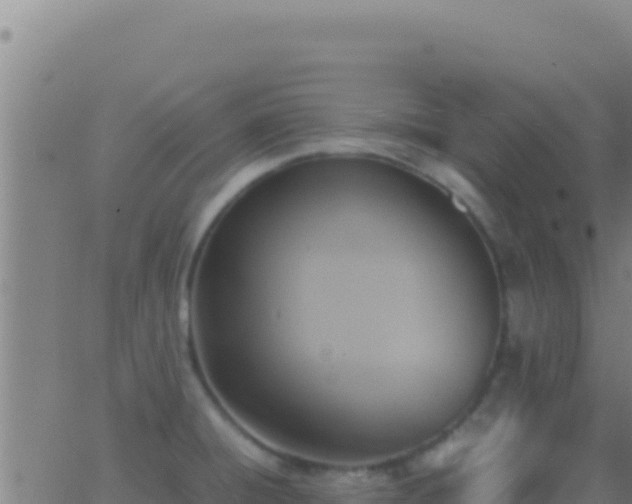 X0000062931428200601202015