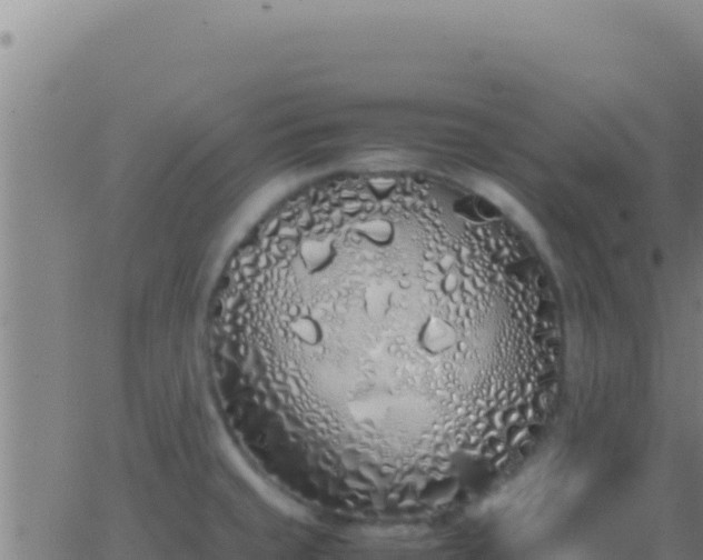 X0000062931429200601202015