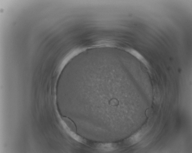 X0000062931431200601202015