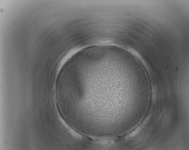 X0000062931432200601202015