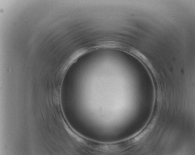 X0000062931433200601202015