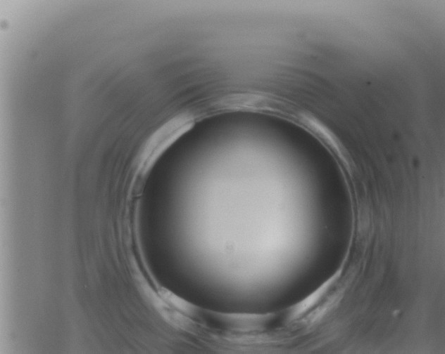 X0000062931434200601202015