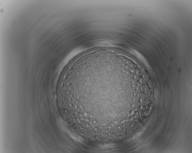 X0000062931435200601202015