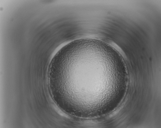 X0000062931436200601202015