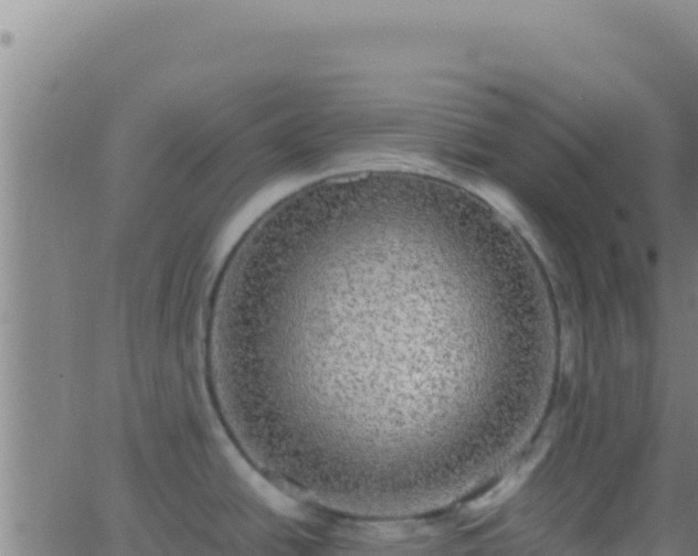 X0000062931438200601202016