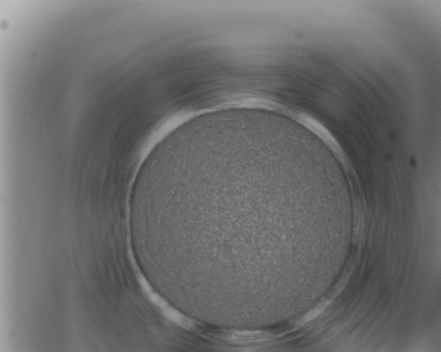 X0000062931439200601202016