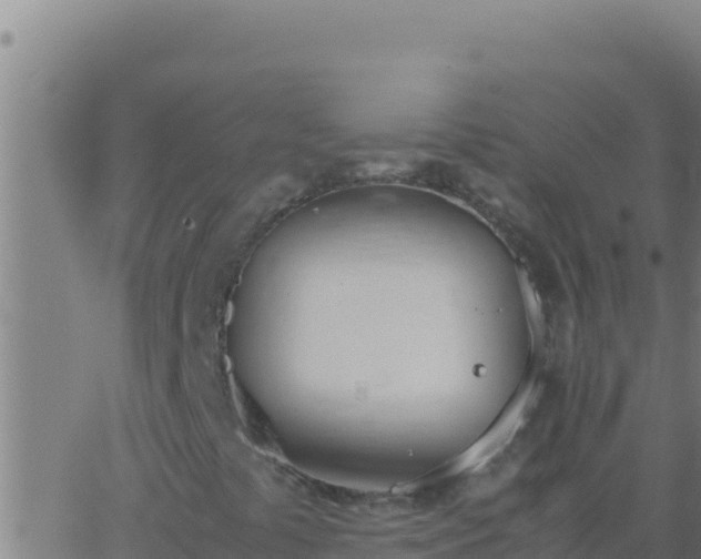 X0000062931441200601202015