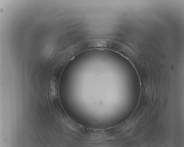 X0000062931442200601202015