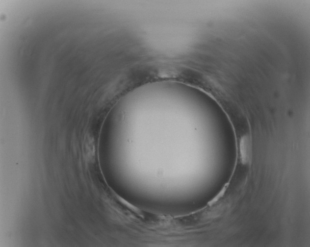 X0000062931443200601202015