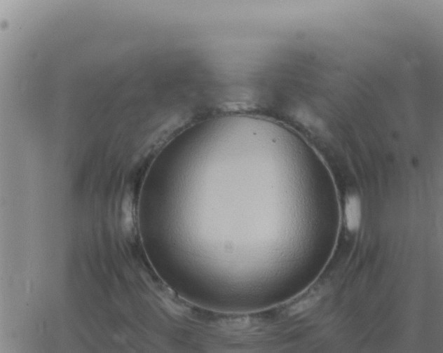 X0000062931444200601202015