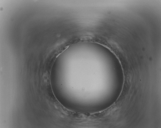 X0000062931445200601202015