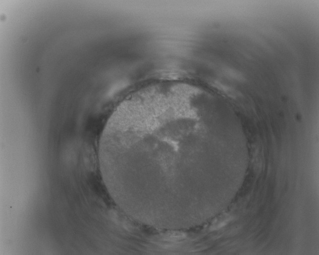 X0000062931446200601202015