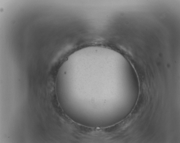 X0000062931447200601202015