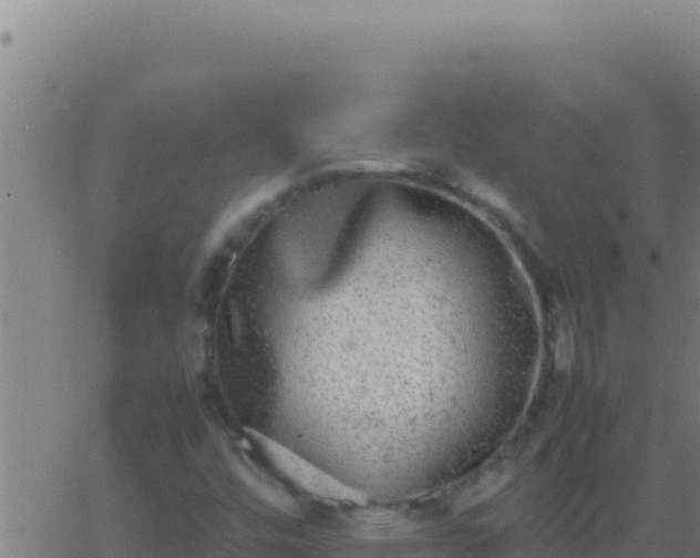 X0000062931448200601202015