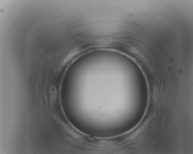 X0000062931449200601202015