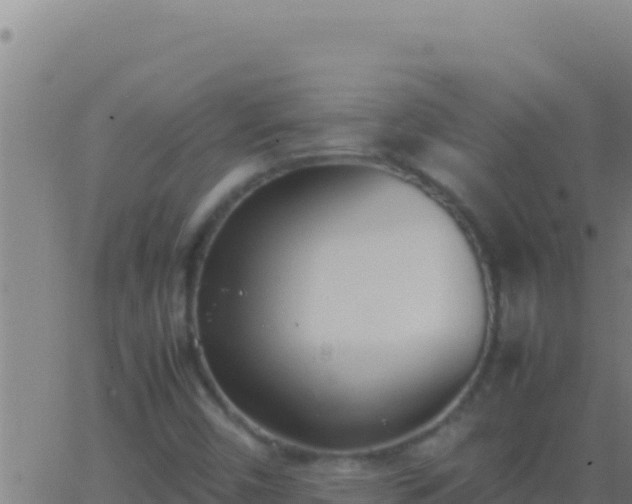 X0000062931450200601202015