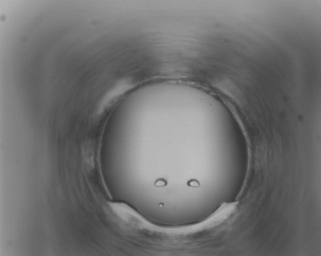 X0000062931451200601202015