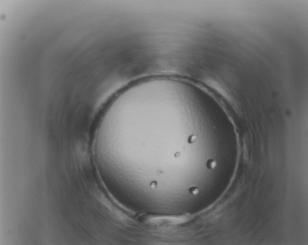 X0000062931452200601202015