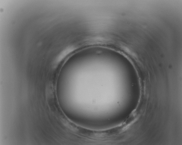 X0000062931453200601202015