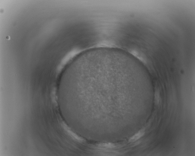 X0000062931454200601202015