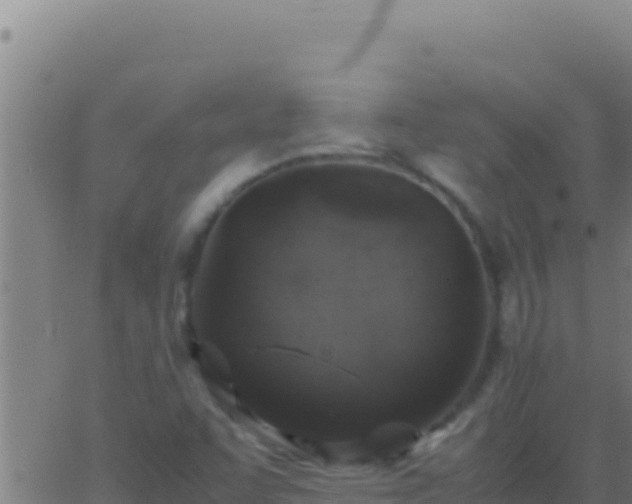 X0000062931455200601202015