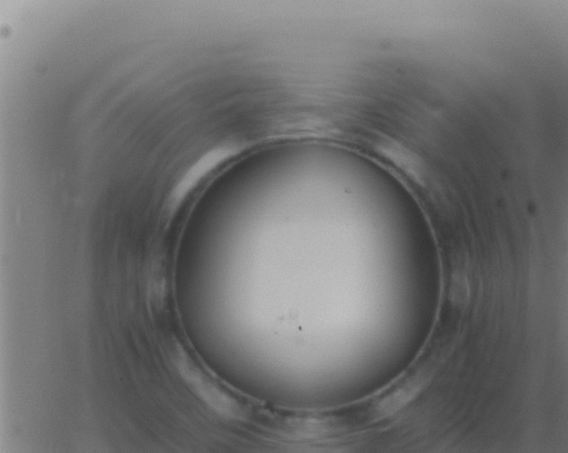 X0000062931458200601202015